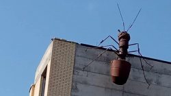 Vladikavkaz’daki dev karınca maketi dikkat çekiyor