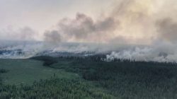 Karaçay-Çerkes’teki orman yangınları kontrol altına alınamıyor