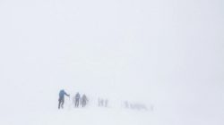 Elbrus Dağı’nda 5 kişinin ölümüyle ilgili gözaltı