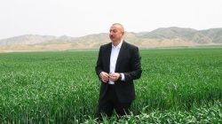 Ermenistan işgalinden kurtarılan Karabağ toprakları Aliyev ailesine yakın isimler arasında paylaşılıyor